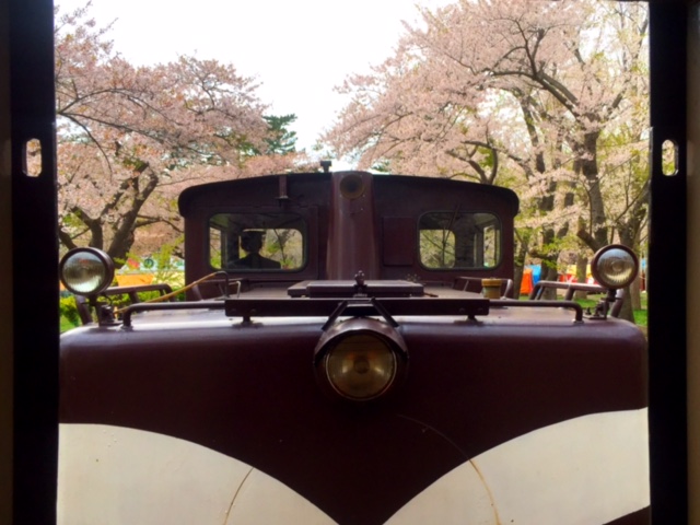 桜と機関車。